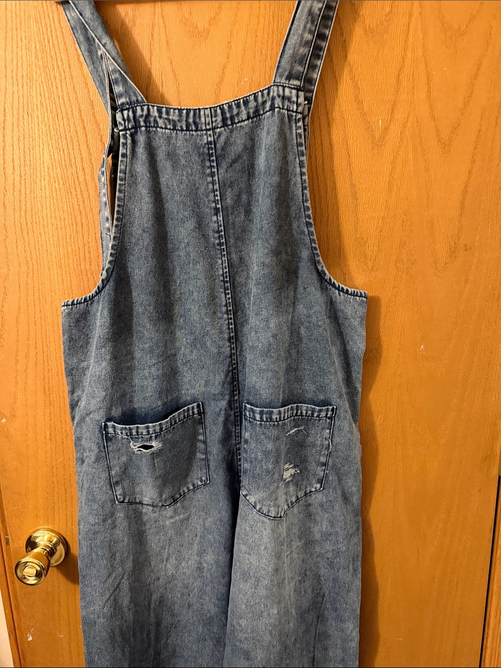 easel Denim Distressed Overalls in Medium Blue - Picture 5 of 7